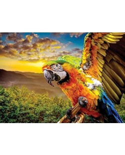 Пъзел Nova puzzle от 1000 части - Американски папагал